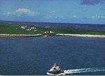 The Gael Saoire