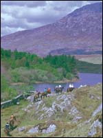 The Gael Saoire