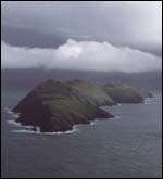 The Gael Saoire