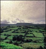 The Gael Saoire